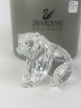 Swarovski Silver Crystal Grizzly Bear Figurine Large 243880 Box