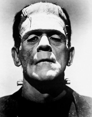 Frankenstein Boris Karloff Photo Print 11x14 "