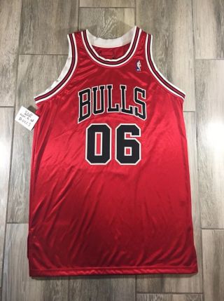 Vintage Chicago Bulls Game Issued Jersey Pro Cut Sz 48,  4 Shiny Red Team Sample