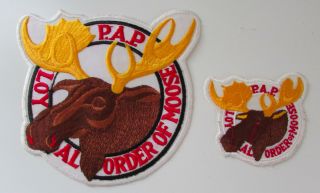 P.  A.  P.  Loyal Order Of Moose Fraternal Organization Patches