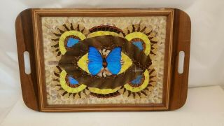 Brilliant Blue Butterfly Wing Mosaic Wood Serving Tray Marquetry Handled