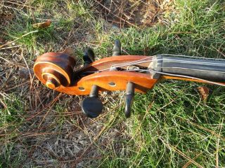 vintage Laurel 3/4 size cello w/bow made Germany William Lewis & Sons Chicago IL 2