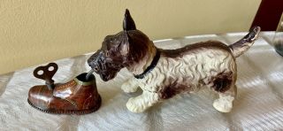 Vintage Occupied Japan Celluloid & Tin Wind Up Scottie Dog Biting Shoe Toy W/key
