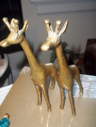 2 Brass Giraffe Figurines African Wild Safari Animals Pair Decor Cute Asian 3