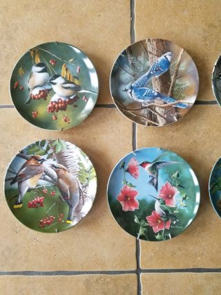 Birds Of Your Garden Set Of 10 By Kevin Daniels,  Knowles Collector Plates.