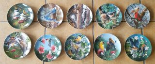 Birds Of Your Garden Set of 10 by Kevin Daniels,  Knowles Collector Plates. 2