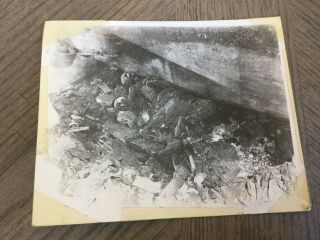 Wwii Gis Photo Of Dead Japanese Remains