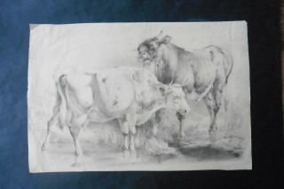 Dutch School 19thc - Rural Landscape With Cow And Bull - Pencil Drawing