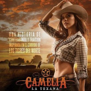 Mexico - Serie,  Camelia La Texana,  1ra Temporada,  2014,  10dvd 60capitulos