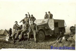 TERRIFIC Pose by Group US Soldiers in Field w/ M3 Armored Halftrack; France 2