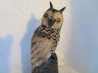 Hand Carved BUFFALO HORN Great Horned OWL Figurine 2
