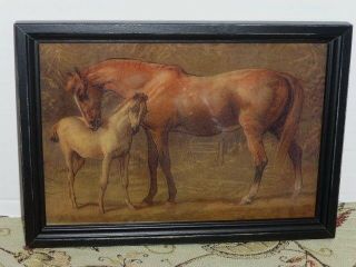 " Mare & Colt " Reverse Printed 12 " X 8 1/2 " Wooden Framed Glass Print,  Usa