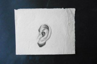 French School Ca.  1800 - Study Of An Ear - Charcoal Drawing