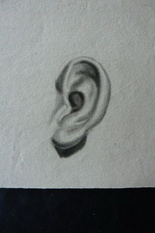 FRENCH SCHOOL CA.  1800 - STUDY OF AN EAR - CHARCOAL DRAWING 2