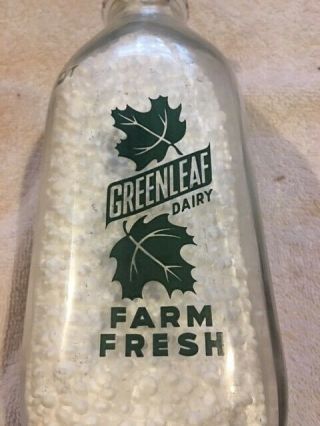Greenleaf Dairy Square Quart Milk Bottle With Green Pyro