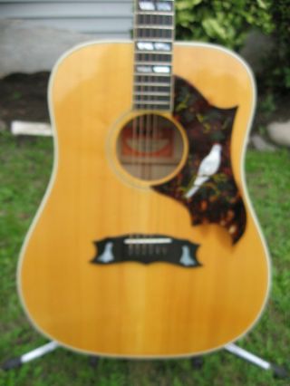 1973 1974 Vintage Gibson Dove Custom Acoustic Guitar Case 3