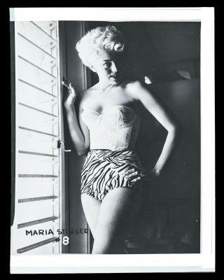 1950 Vintage Nude Negative Photo Irving Klaw Pinup Maria Stinger W/zebra Panties