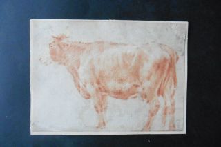 Dutch School 17thc - A Cow In A Meadow By Adriaen Van De Velde - Red Chalk