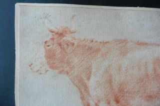 DUTCH SCHOOL 17thC - A COW IN A MEADOW BY ADRIAEN VAN DE VELDE - RED CHALK 2