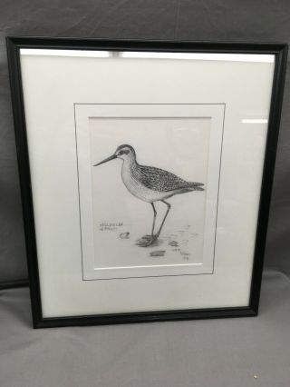1982 Lem Ward Yellow Leg Bird Framed Pencil Drawing Art Signed