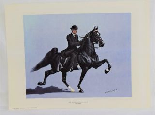 1978 Walter J.  Brown American Saddlebred Horse Five - Gaited 16x12 Print