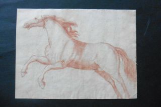 Flemish School 17thc - Study Of A Horse Attr.  Van Der Meulen - Red Chalk