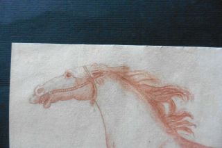 FLEMISH SCHOOL 17thC - STUDY OF A HORSE ATTR.  VAN DER MEULEN - RED CHALK 2