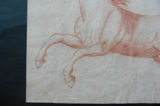 FLEMISH SCHOOL 17thC - STUDY OF A HORSE ATTR.  VAN DER MEULEN - RED CHALK 3