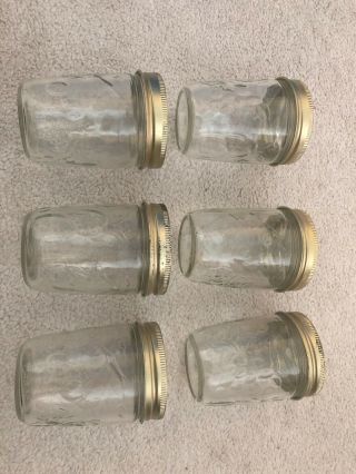 Set Of 6 Half Pint Jelly Jars Ball