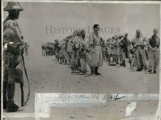 Press Photo Axis Pows Captured By Zealand Troops Near El Alamein In Egypt