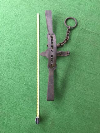 Vintage Oneida Community S.  Newhouse Number 15 Trap With Chain.