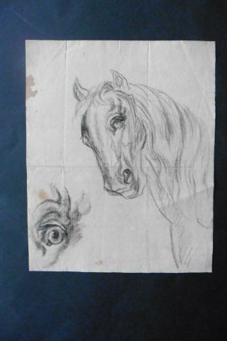 French School Early 19thc - Study Of A Horse - Fine Charcoal Drawing
