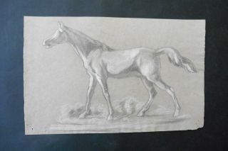 Italian School 19thc - Study Of A Horse - Pencil Drawing