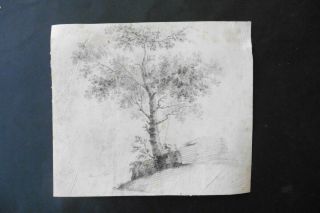 French School Ca.  1800 - Neoclassical Wooded Landscape - Charcoal Drawing