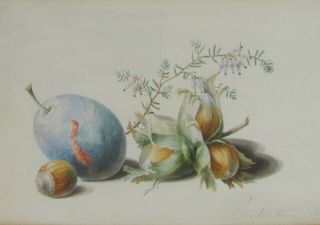 Delicate 18th C.  Watercolor Still Life - Circle Of Michiel Van Huysum