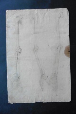 Italian School 18thc - Exeptional Anatomical Study Of Arms - Charcoal Drawing
