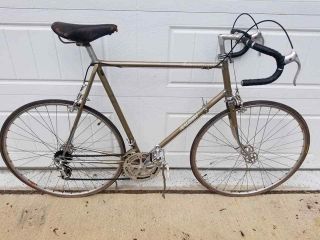 Vintage Raleigh International Road Bike Campagnolo Brooks Weinmann 61cm Reynolds