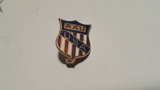 Vintage Amateur Athletic Union - Aau Usa Pin