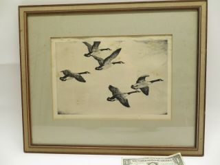 Flying Honkers Signed Etching Of Geese By Hans Kleiber
