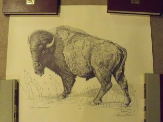 Dan Brewer Lord Of The Plains Western Art Drawing Limited Edition A/p