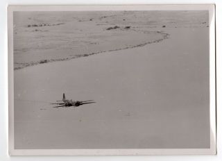 Wwii German Luftwaffe Press Photo Afrikakorps Raf Wellington Forced Landing L14