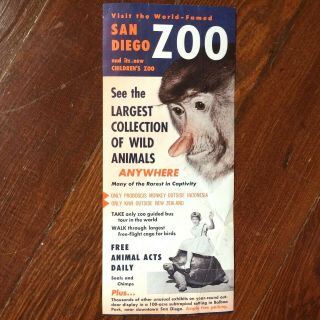 Vintage 1950s San Diego Zoo California Travel Tourist Brochure Proboscis Monkey