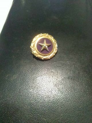 Vintage Gold Star Mother 1947 " Act Of Congress " Pin Back