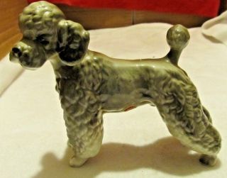 Vintage Lefton Poodle Figurine Trademark Of Japan 4665 - 9