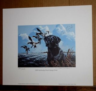 Black Labrador Retriever 1989 Kentucky Duck Stamp Print W/stamp By Phillip Crowe