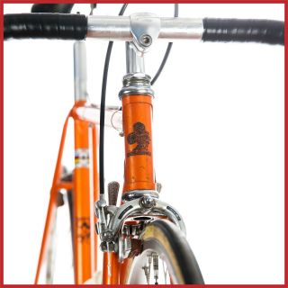 Colnago Sport Campagnolo Nuovo Record Gran Vintage Road Bike 70s Eroica Molteni