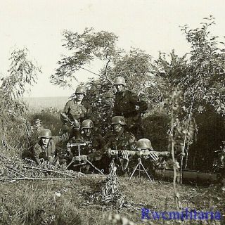 At Ready Wehrmacht Granatwerfer Crew W/ 8cm Mortar & Range Finder In Foliage
