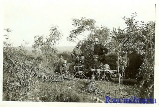AT READY Wehrmacht Granatwerfer Crew w/ 8cm Mortar & Range Finder in Foliage 2
