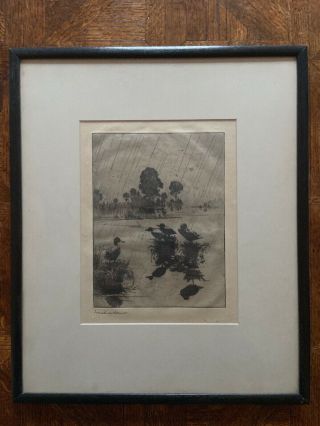 Frank Weston Benson Pencil Signed Etching Ducks In Rain 1st State Gallery Framed