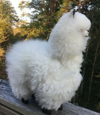 Unique 12inch Soft “real Baby Alpaca Fur” Stuffed Animal Plush Cria Alpaca